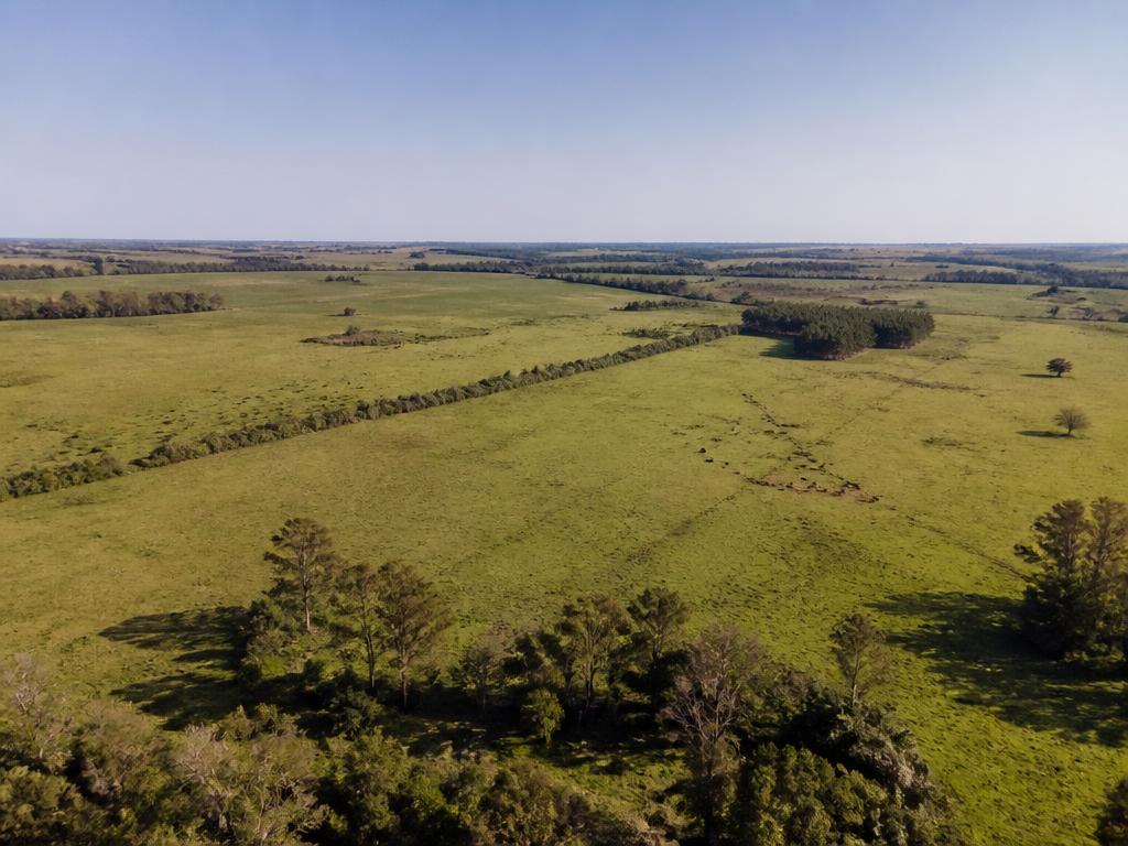 Terreno Punta Gorda, Nueva Palmira